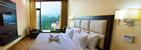 snow valley shimla